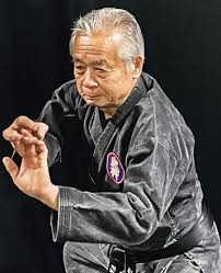 Image result for Bujinkan Crawley Dojo