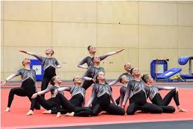 Image result for City Of Newcastle Gymnastics Academy