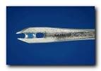 Safety Bifurcated Needles