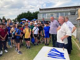 Image result for Elthorne Cricket Club