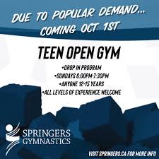 Image result for Sankey Springers Gymnastics Club