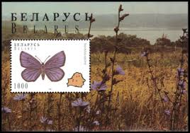 Attēlu rezultāti vaicājumam “Vacciniina optilete”