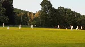Image result for Alne Cricket Club