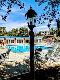 Image result for Taunton Deane Swimming Club