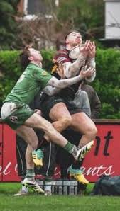 Image result for Hull Rugby Union Football Club