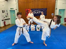 Image result for Windsor Karate Club