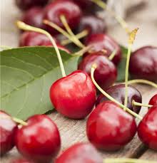 Attēlu rezultāti vaicājumam “Cerasus fruit”