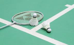Image result for Appledore Badminton Club