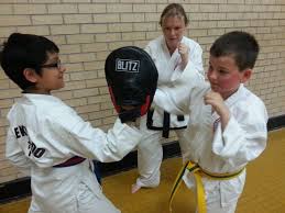 Image result for Leighton Buzzard Tae Kwon-Do Club