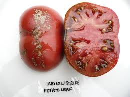 Afbeeldingsresultaat voor grubbs mystery green tomato