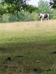 Image result for Chelmsford Rambling Club