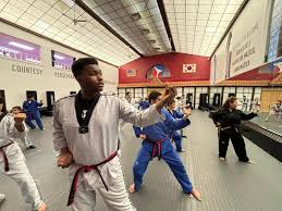 Image result for United Dojos Kickboxing