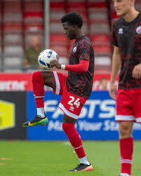 Image result for Crawley Town Football Club