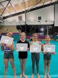 Image result for Sutton Gymnastics Academy