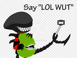 Image result for lol wut