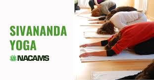 Image result for Affiliated Sivananva Yoga Teacher