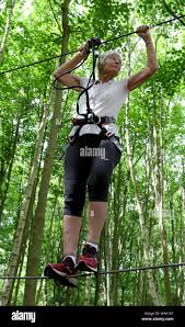 Image result for Go Ape! Leeds Castle