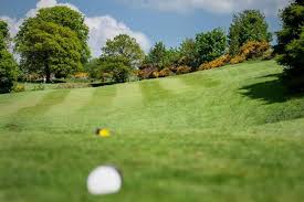 Image result for Vale Of Leven Golf Club