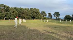 Image result for Broadbridge Heath Cricket Club