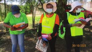 Image result for pheega