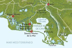 Image result for parque natural de camargue