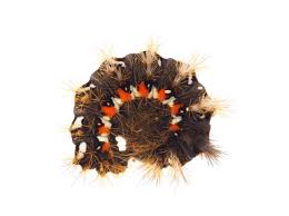 Attēlu rezultāti vaicājumam “Acronicta rumicis imago”