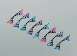 Image result for Brighton Kite Fliers