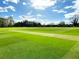Image result for Langtons Cricket Club