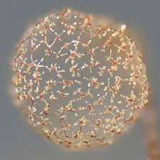 Attēlu rezultāti vaicājumam “Cribraria intricata spores”