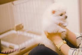 あめくん에 대한 이미지 검색결과