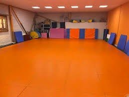 Image result for Mirfield Martial Arts Club