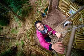 Image result for Go Ape! Leeds Castle