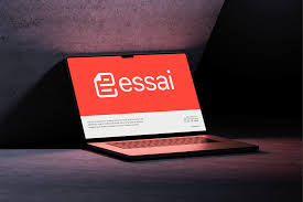 Image result for essai