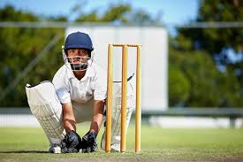 Image result for Hook Norton Junior Cricket Club