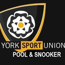 Image result for York University Pool Club
