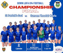 Image result for St Patrick`s Gac, Saul