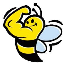 Image result for KB Fitness