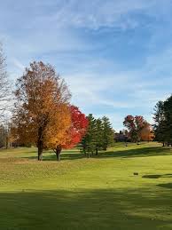 Image result for Rutland Scrabble Club