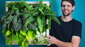 Image result for living wall