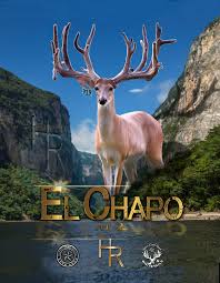 Image result for Big Bucks High Rollers