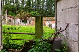 Image result for Stuartfield Bowling Club