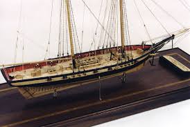 Image result for Xarifa