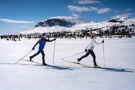Image result for Scandinavian slope and cross country skiing
