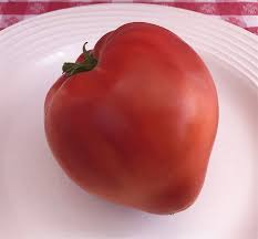 Afbeeldingsresultaat voor erdie family oxheart tomato