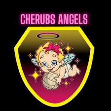 Image result for The Angels Netball Club
