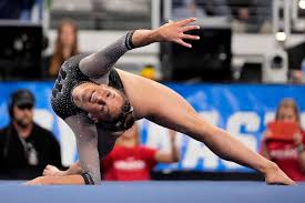 Image result for Redcar School Of Gymnastics