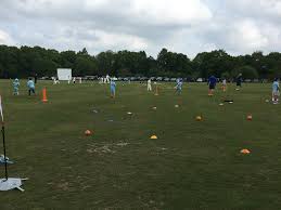 Image result for Grayshott Cricket Club