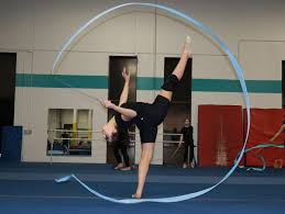 Image result for Redcar School Of Gymnastics