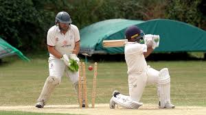 Image result for Aston Ingham Cricket Club