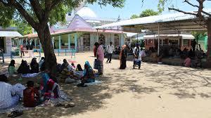 Image result for Erwadi